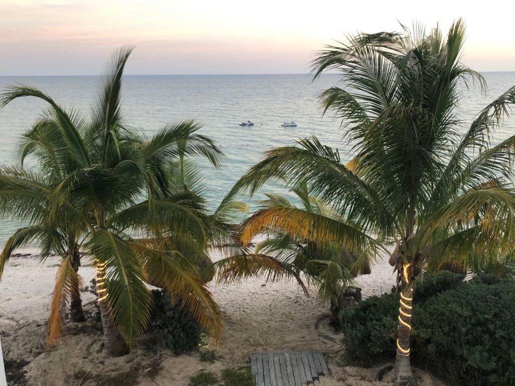 Beachfront Villa Solarium Garden House 1 San Benito Exterior foto